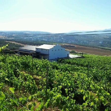 Bodegas Morosanto Apartment La Cimada Екстериор снимка