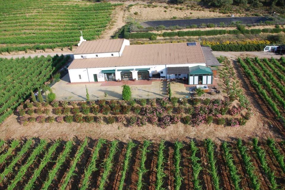 Bodegas Morosanto Apartment La Cimada Екстериор снимка