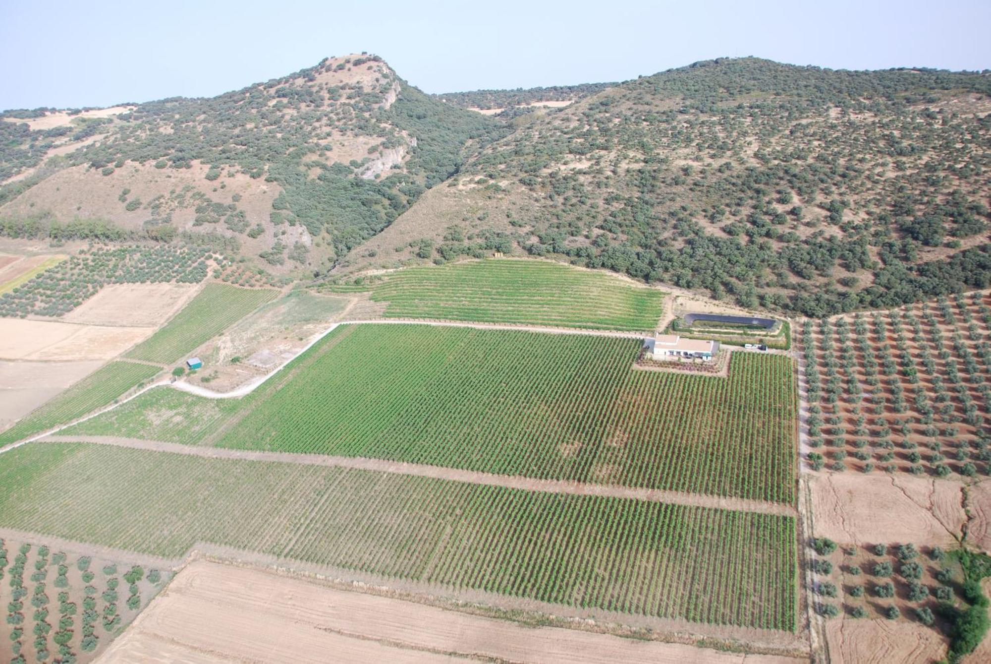 Bodegas Morosanto Apartment La Cimada Екстериор снимка