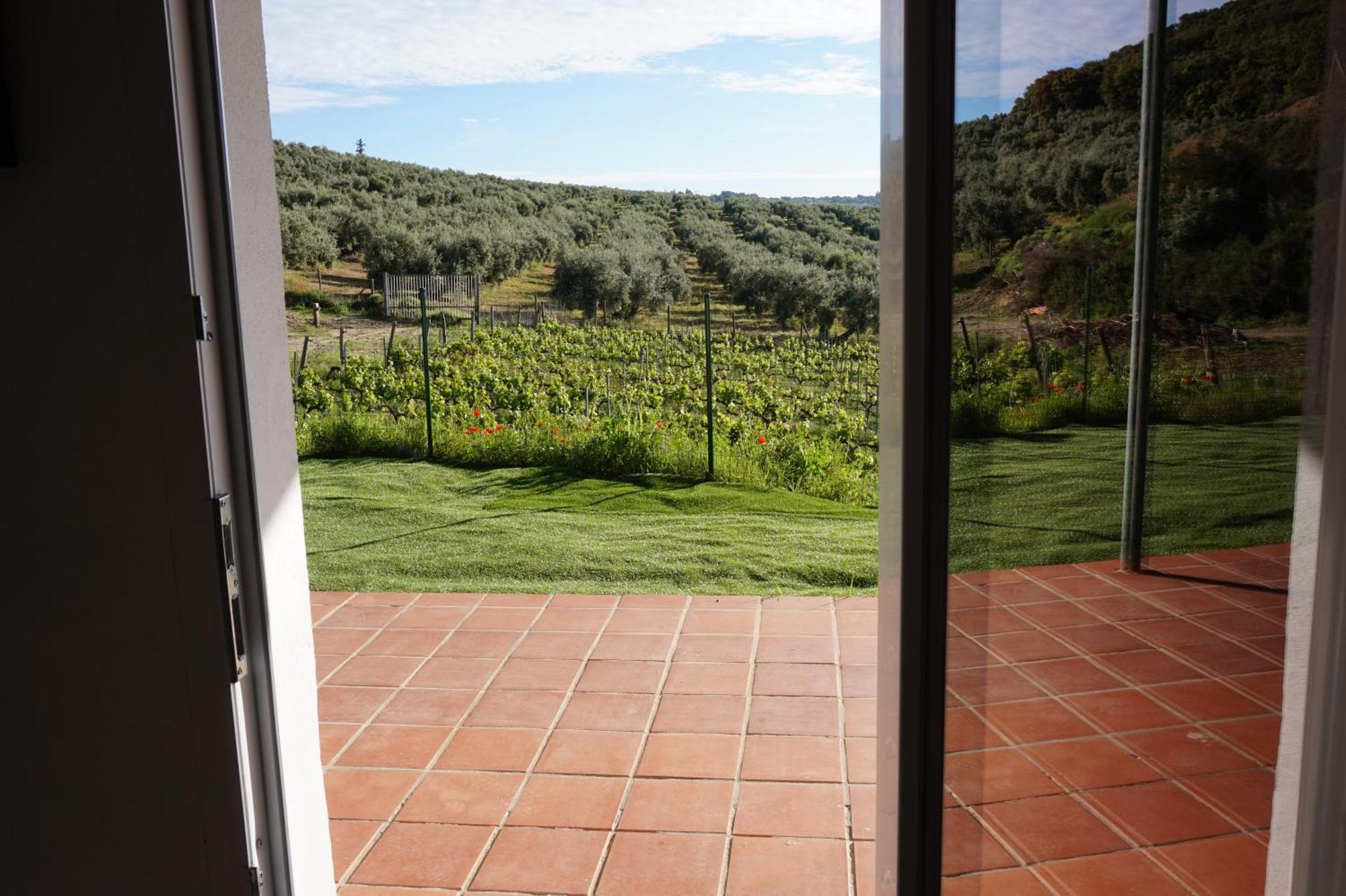 Bodegas Morosanto Apartment La Cimada Екстериор снимка